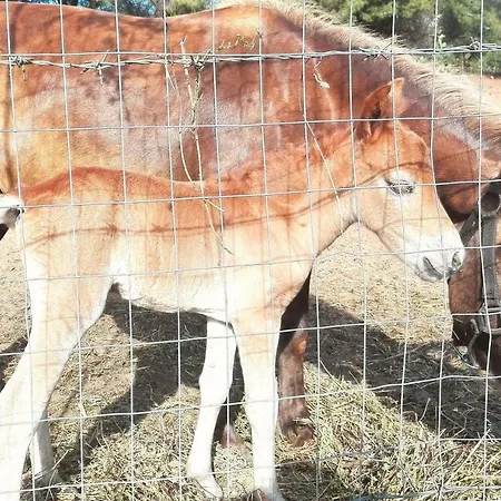 Prázdninový areál Malia Village 3*